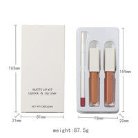 Maquillage 3 en 1 brillant à lèvres transparent Vente en gros Vegan personnalisé Marque privée Nude 2pcs Matte Liquid Lipstick and Lip Liner Set