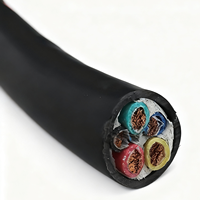20AWG 24AWG 26AWG 28AWG Fil de cuivre nu multicœur 300/500V 2 cœurs 4 cœurs Gaine en PVC Câble d'alimentation flexible pour l'électricité domestique