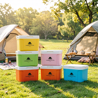 Glacière portable 8L, qualité alimentaire PP, isolation thermique, maintien au frais 48h, plusieurs couleurs, mini-réfrigérateur pour camping et pique-nique