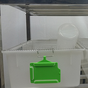 <span class=keywords><strong>Cage</strong></span> à rats de laboratoire en acier inoxydable/plastique - Anti-évasion, grande capacité, norme ISO - Product Image 4