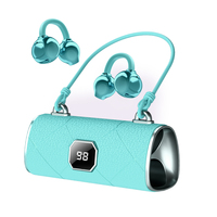Mini TWS oordopjes voor V5.3 met microfoon, IPX4 waterdicht, Hi-Fi stereogeluid voor gebruik in de luchtvaart & door DJ's, sportdesign, mini tasje
