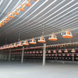 Gia cầm nông nghiệp thiết bị xúc xích Feeder Pan/PAN tầng hệ thống cho ăn - Product Image 5