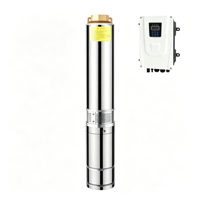 Bomba Solar Sumergible de Acero Inoxidable de 4 Pulgadas con Conmutación Híbrida AC-DC, Kit de Bomba Solar con Controlador MPPT para Riego