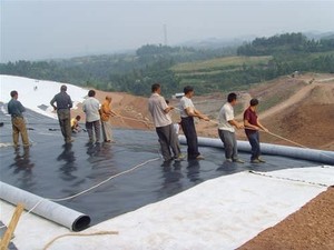 ASTM mịn 0.5mm 0.75 mm1.5 mm 2.0mm HDPE lót geomembranes cá đập ao lót - Product Image 3