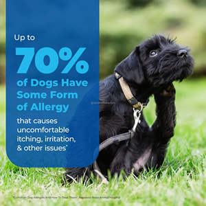 Köpek alerjisi balık yağı ve probiyotikler ile ç<span class=keywords><strong>i</strong></span>ğniyor-mevsimsel kaşıntı rahatlama, bağışıklık ve cilt desteğ<span class=keywords><strong>i</strong></span> (ODM/OEM) - Product Image 2