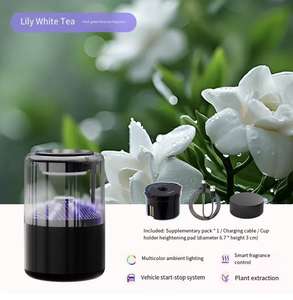 2025 nuovo modello di Smart Cloud nebuly Scenic View Car <span class=keywords><strong>diffusore</strong></span> di aromi, Spray automatico Aroma automobilistico di fascia alta - Product Image 6