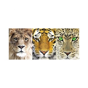Precio <span class=keywords><strong>de</strong></span> fábrica Superhero Movie 3D Lenticular Picture Design Anime 3D Picture para Decoración - Product Image 2