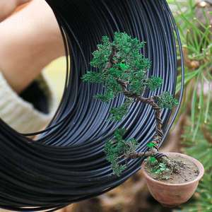 <span class=keywords><strong>ลวด</strong></span>อลูมิเนียมเคลือบสีดำสำหรับงานประดิษฐ์บอน<span class=keywords><strong>ไซ</strong></span> ขนาด 1-5 มม. เกรด 1060/1100/3003/5052 <span class=keywords><strong>ลวด</strong></span>อ่อนสำหรับ<span class=keywords><strong>ดัด</strong></span> ใช้สำหรับกระถางต้นไม้และงานจัดสวน - Product Image 3