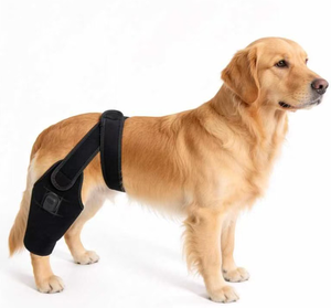 Adjustable Red <b>Light</b> Therapy <b>Dog</b> Hind Leg Support Brace Black Cloth Durable Comfortable Outdoor All Seasons Use - Product Image 1