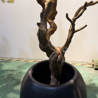 Pohon Bonsai Bunga Sakura Plastik Buatan 200cm Dekorasi Lanskap Bionik Semi-Mekanis untuk Hotel Restoran Dalam Ruangan