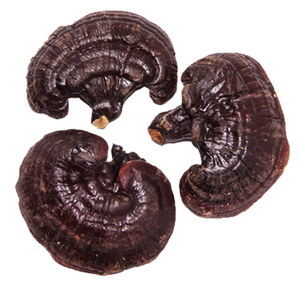 Pó De Esporo <span class=keywords><strong>Reishi</strong></span> Adulto Cápsulas Extrato De Ganoderma Lucidum Cápsulas De Cogumelo Lingzhi Cápsulas De Esporo De Ganoderma Lucidum - Product Image 3