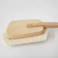Éponge exfoliante naturelle confortable pour le corps, avec long manche en bois, pour la douche, le bain et le spa, brosse de massage pour le dos, pour adultes