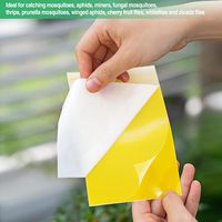 Nouvelles Pièges Collantes Jaunes Écologiques à État Solide pour Cafards et Mites, Haute Efficacité, Usage Intérieur, Contrôle des Nuisibles
