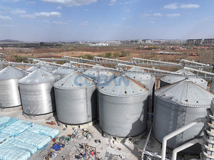 500-10000ton Thép Số Lượng Lớn Hạt Lưu Trữ <span class=keywords><strong>Silo</strong></span> Thùng Mạ Kẽm Đậu Nành Ngô Ngô Lúa <span class=keywords><strong>Silo</strong></span> Cho Thức Ăn Dòng Hoặc Lúa Mì Bột Mill - Product Image 4