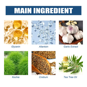 Parches Antihongos Naturales a Base de Plantas EELHOE, Cuidado de las Uñas, Tratamiento para Hongos, Reduce el Grosor, Reparación de Uñas, 2 Años de Duración - Product Image 3