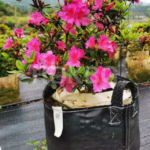 Bolsas <span class=keywords><strong>de</strong></span> cultivo <span class=keywords><strong>de</strong></span> plástico HOKBG <span class=keywords><strong>de</strong></span> <span class=keywords><strong>60</strong></span> <span class=keywords><strong>litros</strong></span> y 15 galones, bolsas <span class=keywords><strong>de</strong></span> cultivo <span class=keywords><strong>de</strong></span> PP para plantar al aire libre, <span class=keywords><strong>macetas</strong></span> y <span class=keywords><strong>macetas</strong></span>, bolsas <span class=keywords><strong>de</strong></span> plántulas - Product Image 2