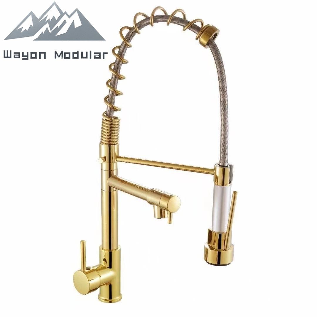 Titanium and gold have dual functions