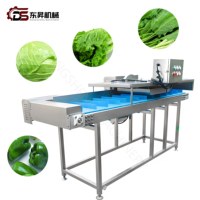 Cortador Redondo Automático de Cebolla, Ñame, Zanahoria, Manzana y Plátano; Máquina para Cortar Verduras de Raíz; Picador Automático de Raíces de Verduras