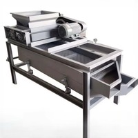 Machine à décortiquer les noix et les noyaux motorisée en acier inoxydable à haute productivité, en vente chaude, pour le traitement des noisettes, des amandes et des noyaux de palmier