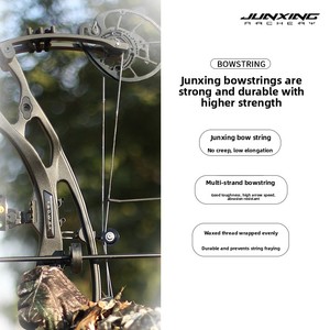 Junxing Home-made Hoyt RX10 Professional Composite <b>Bow</b> High 70 Pounds Adjustable H21 High Ensures Accurate Shots Every - Product Image 5