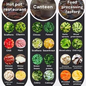 قطاعة خضروات تجارية فندقية متعددة الوظائف قابلة للتعديل قطاعة خضروات كهربائية - Product Image 4