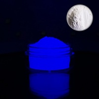 Pigment pour peinture automobile Pigment phosphorescent en poudre brillant dans la nuit Pigment en résine époxy