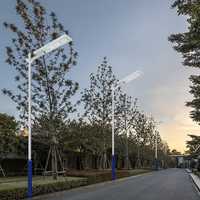 Lampadaire Led solaire intégré en aluminium, 100/150/200/250W, haut de gamme, étanche IP65, lampe d'extérieur