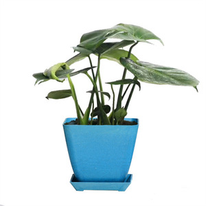 Pots de fleurs en <span class=keywords><strong>bambou</strong></span> durables et réutilisables, 12 pièces, <span class=keywords><strong>pour</strong></span> l'intérieur et l'<span class=keywords><strong>extérieur</strong></span> - Product Image 3