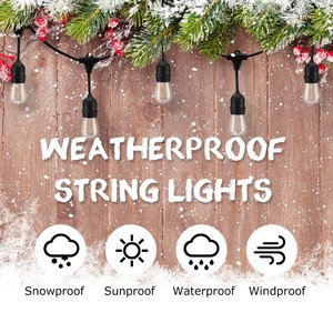 High Quality 14awg 48ft S14 Globe <strong>String</strong> Lights E26 E27 Outdoor Waterproof Led Snow Flake Merry Christmas Lights Clipart - Product Image 6