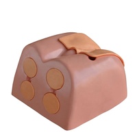 Modèle de simulateur de mannequin pour l'examen de la prostate pour la formation et la pratique médicale