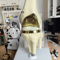 Modèle d'os fémoral, modèle anatomique de l'articulation du genou, mannequin en PVC, modèle de squelette médical, science médicale, fabriqué en Chine