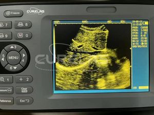 Escáner de ultrasonido veterinario con sonda rectal-IP67 a prueba de agua para uso en granjas de ganado - Product Image 5