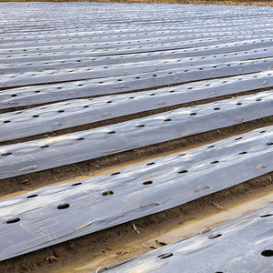 <span class=keywords><strong>Film</strong></span> de serre résistant aux déchirures et paillis noir pour terres salines - Product Image 4