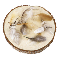 Gefärbte natürliche Hackle Chicken Rooster Feder für Handwerk DIY Fliegen binden Material Karneval Haar Ohrring Zubehör Party Home Decor