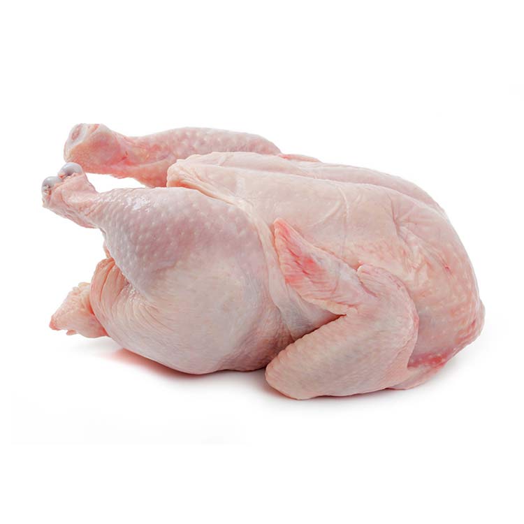 Оптовая продажа, Halal HACCP ISO Замороженные курицы, замороженные курицы, замороженные курицы, экспортеры