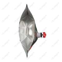 Sac aseptique personnalisé 3L 5L 10L café vin sirop jus eau liquide BAVOIR SAC SAC EN PLASTIQUE DANS UNE BOÎTE DISTRIBUTEUR AVEC VALVE VITOP