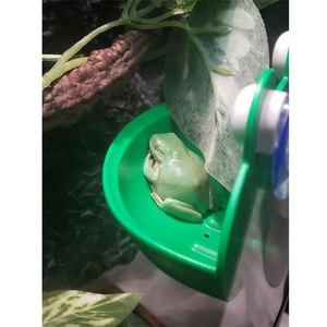 Ciotola di alimentazione in plastica antiscivolo con decorazione in stile rana verde acquatico piattaforma di riposo per anfibi - Product Image 4