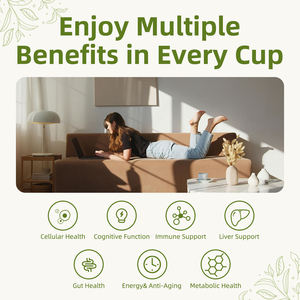 OEM/ODM Polvere per Latte con Estratti di Spore di Reishi e Funghi, con Zucchero e Crema, 21g*10 bustine/scatola, Personalizzazione Etichetta Privata, Confezioni in Scatola e Bustine - Product Image 4