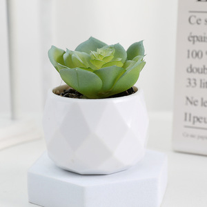 Plante succulente artificielle en pot carré ou rond, succulente réaliste, décoration de bureau créative et écologique, marque OEM, plante d'intérieur - Product Image 3