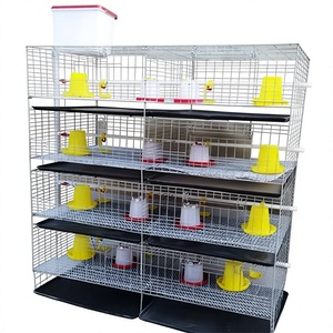Jaula para Pollitos de 4 Niveles en Oferta, Jaula Tipo H para Pollitos, Jaula para Aves de Corral, Equipo de Cría de Aves - Product Image 1