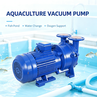 Pompe à vide annulaire électrique haute performance pour le traitement des eaux usées et l'industrie – Vente en gros usine