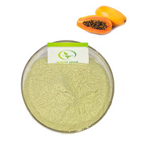 HALAL haute qualité extrait de graines de papaye poudre extrait de papaye