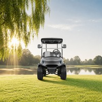 Voiturette de golf électrique 4 places pour cinéma en plein air, moteur AC 48V 5KW, batterie au lithium, pour soirées cinéma, avec kit de montage de haut-parleurs sur poteau