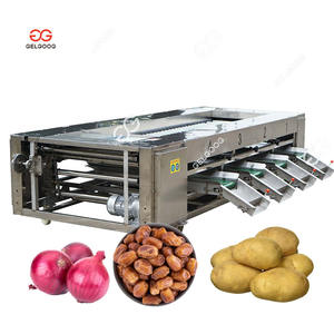 Otomatik denizhıyarı boyama derecelendirme işleme makinesi greyder bitki turuncu yıkama ağda ve sıralama üretim hattı - Product Image 2