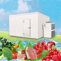 Chambres Froides Mobiles Gonflables Portables à Prix Compétitifs, Conception Conteneur Copeland Emerson pour le Stockage de Fruits, Légumes et Viandes