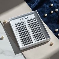 Kit de faux cils pré-collés en grappes pour extensions de cils à domicile, boucles de cils DIY, ensemble de cils en grappes
