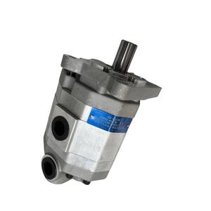 Huamao Attractive Price New Type Gear Pump with Gears for Filling Machine Shandong Origin 1 Year Warranty - Product Image 4