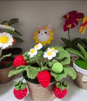Vente en gros de pots à fruits en crochet élégants faits à la main et personnalisés pour plantes bonsaï, utilisation en voiture/à la maison, cadeaux de Pâques et de remise de diplôme