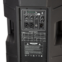Enceinte active PA 1000W 15 pouces avec DSP intégré et Bluetooth 5.0 TWS - Idéale pour le son live, les groupes et les DJ