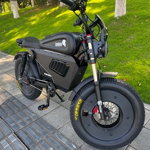 USA Warehouse Black Ebike 3000W 60V Removable High-capacity Lithium <b>Battery</b> 20-inch Fat Tire Mountain SS10 HCBK-SS10 Black Warri - Product Image 1